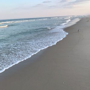 Meet your Posher, Sórcha